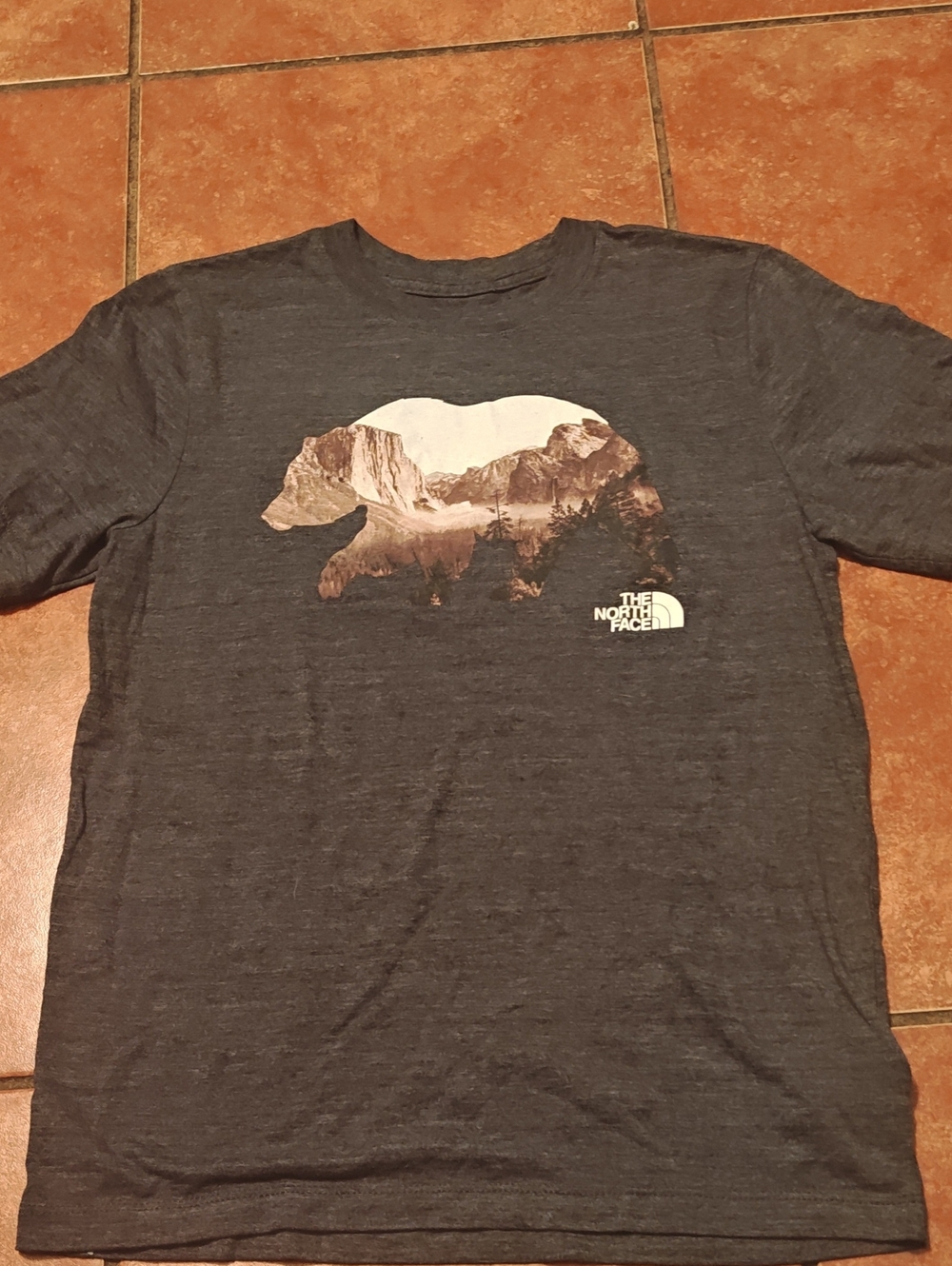 The North Face Men's Gray Graphic Bear T-Shirt